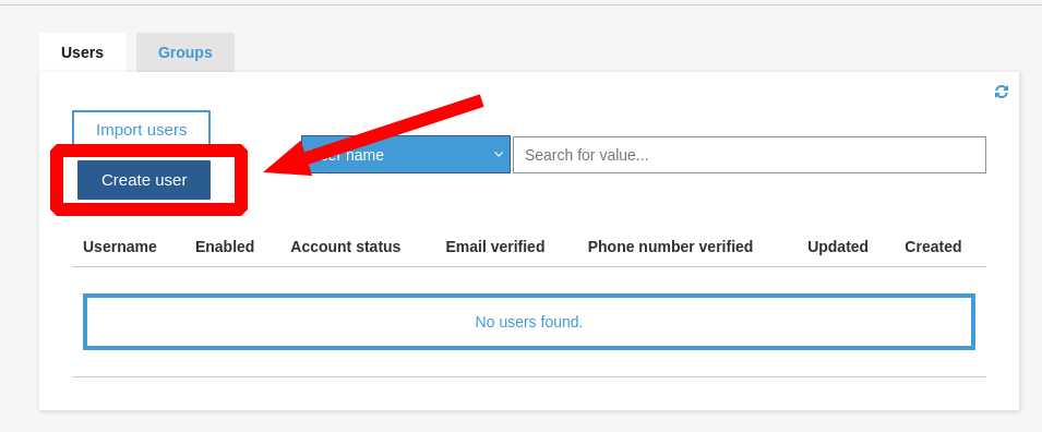 ../_images/cognito-create-user.png