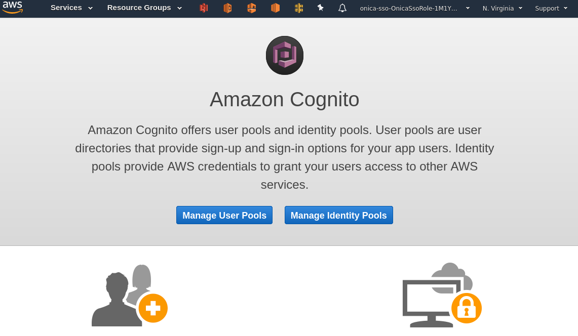 ../_images/cognito-home.png